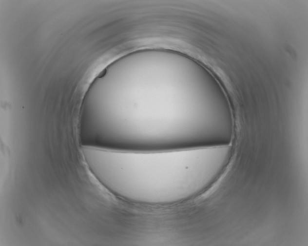 X0000090971529200708021132
