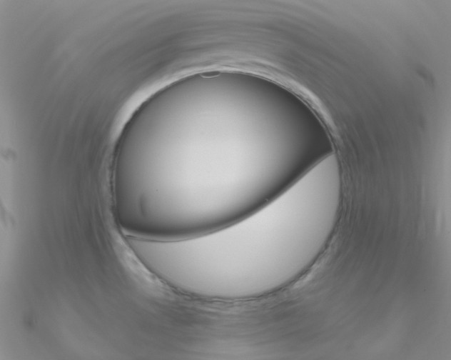 X0000090971530200708021132