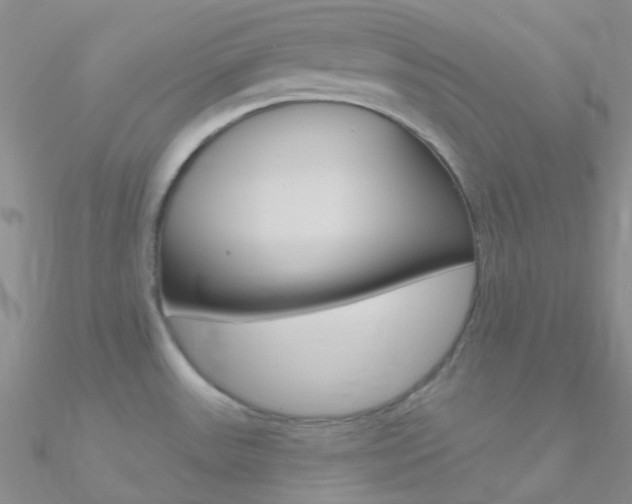X0000090971531200708021132