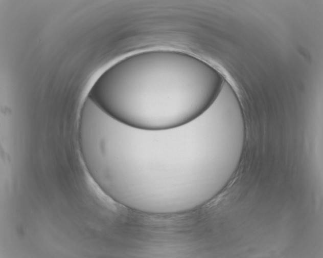 X0000090971532200708021132