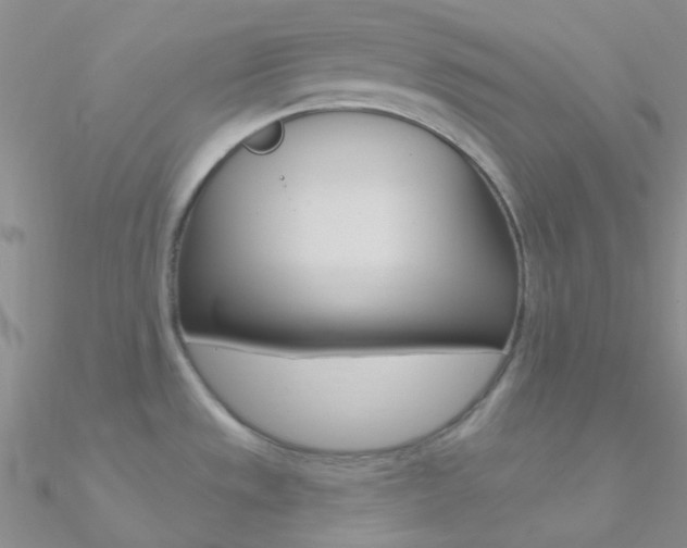 X0000090971533200708021132