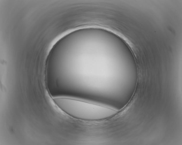X0000090971534200708021132