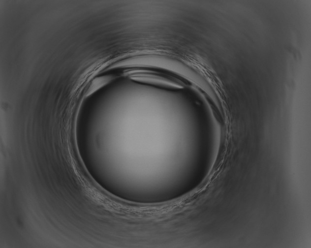 X0000090970001200708021447