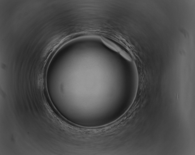 X0000090970002200708021447