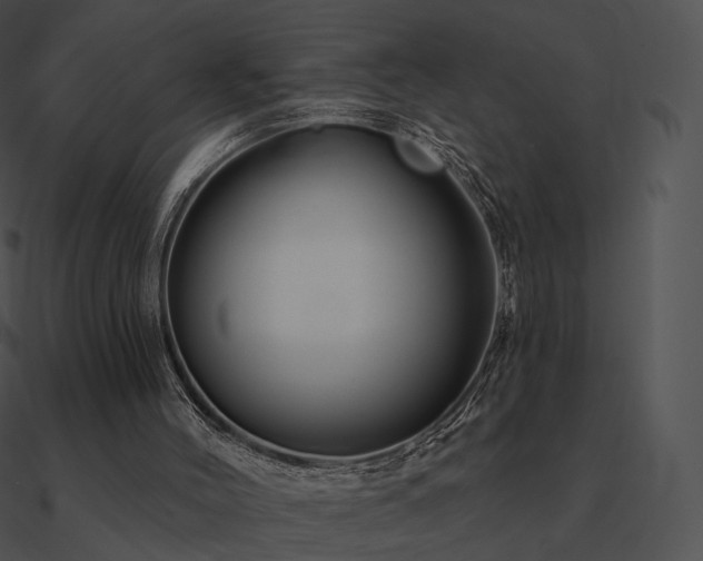 X0000090970004200708021447