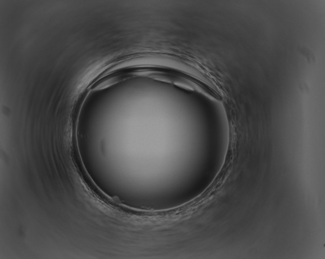 X0000090970005200708021447