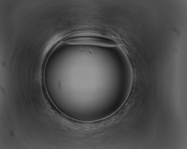 X0000090970006200708021447