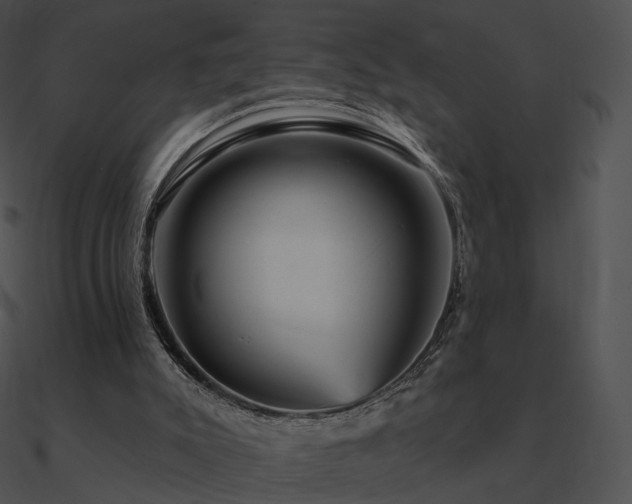 X0000090970007200708021447