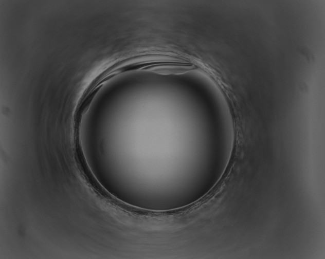 X0000090970008200708021447