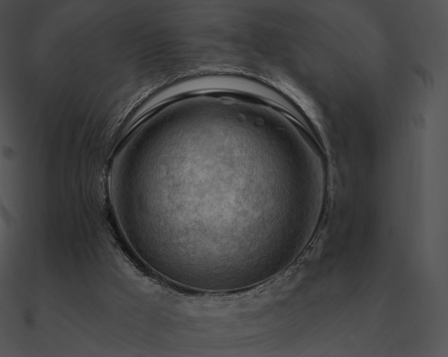 X0000090970009200708021447