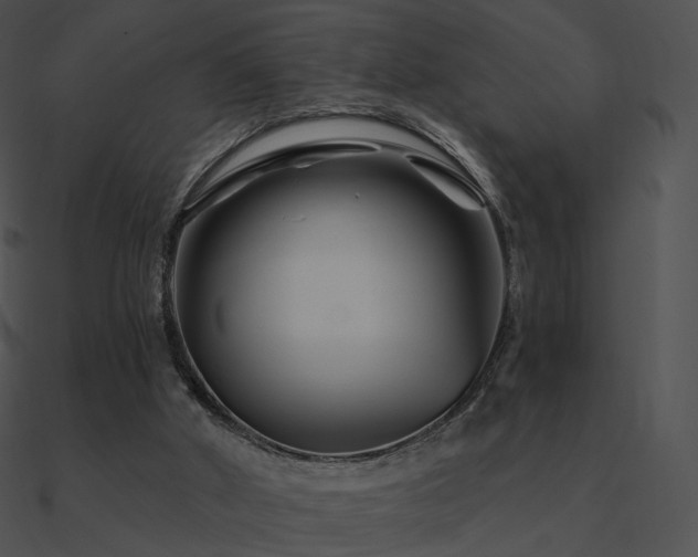 X0000090970010200708021447