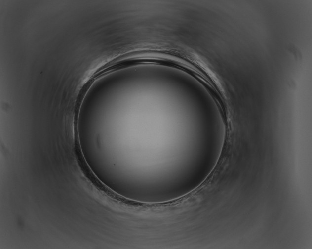 X0000090970011200708021447