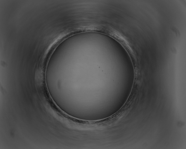 X0000090970012200708021447