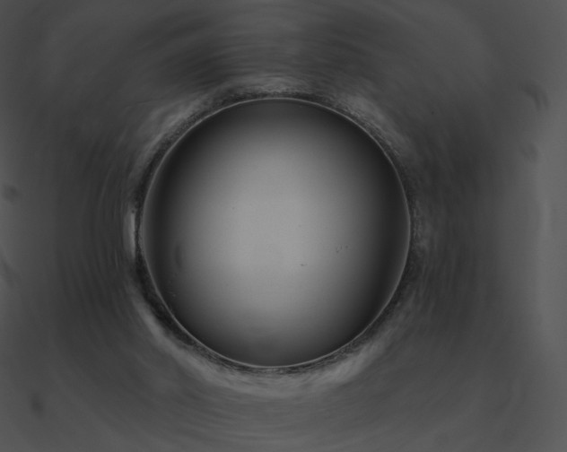 X0000090970014200708021447