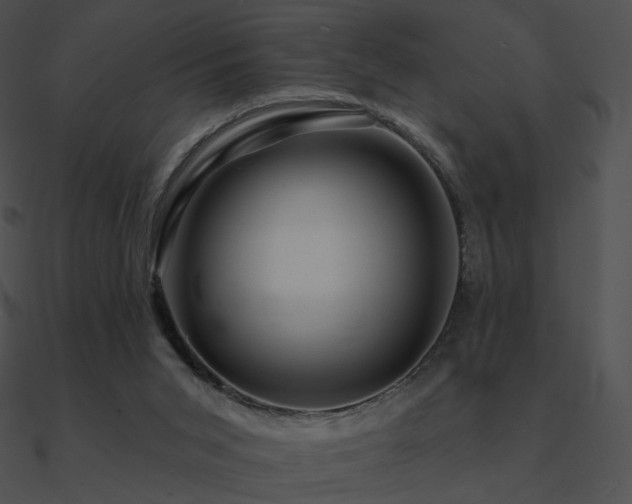 X0000090970015200708021447