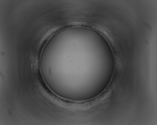 X0000090970016200708021447