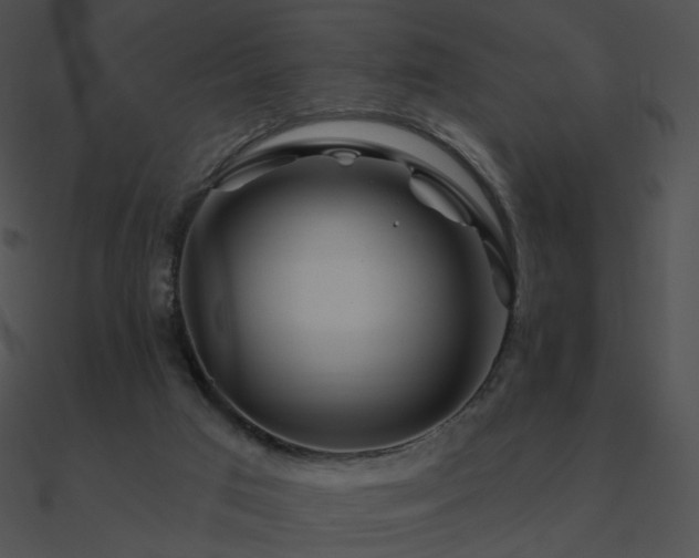 X0000090970017200708021447