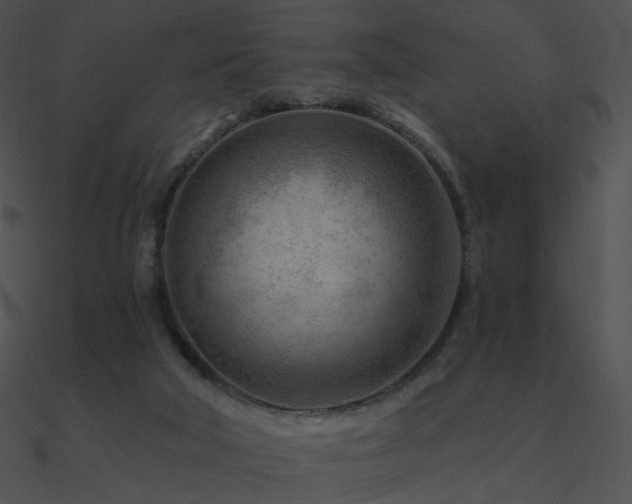 X0000090970018200708021447