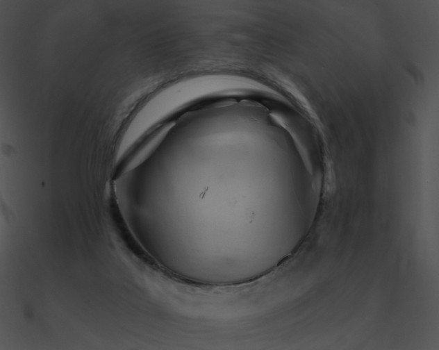 X0000090970019200708021447