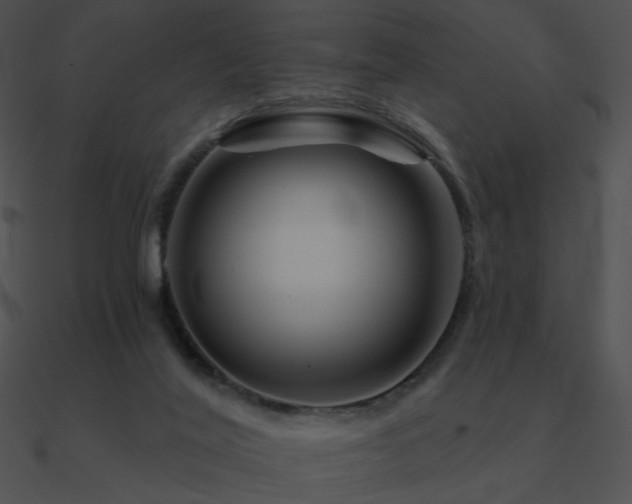 X0000090970020200708021447