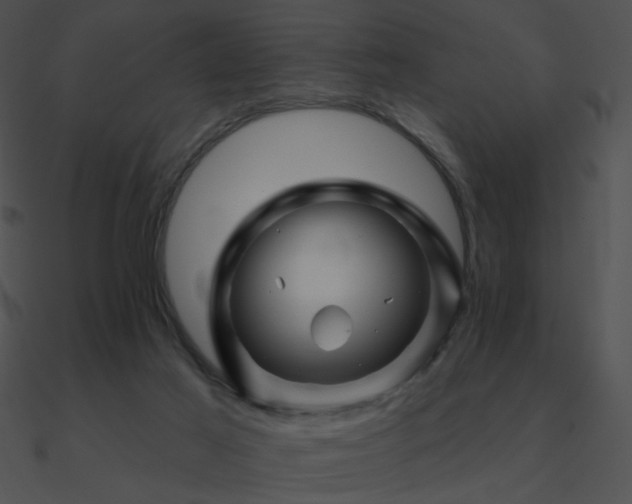 X0000090970021200708021447