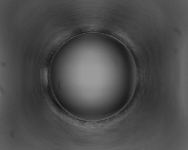 X0000090970022200708021447