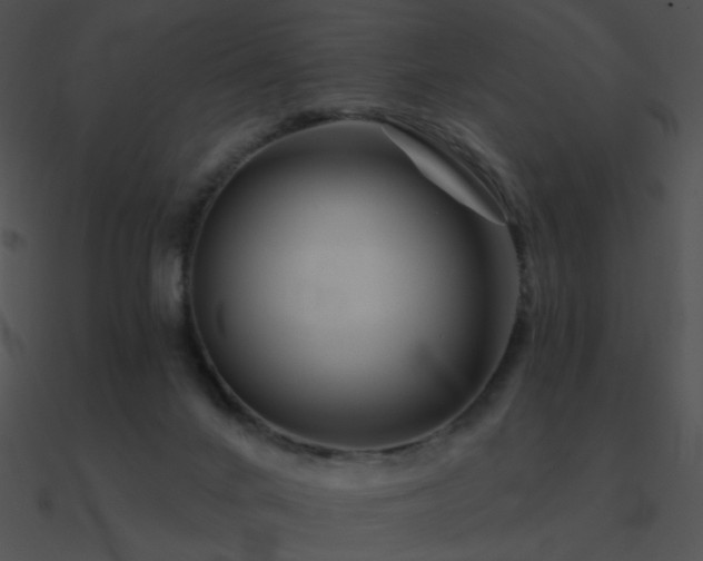 X0000090970024200708021447