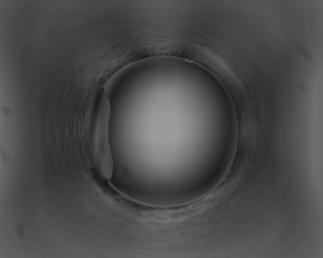 X0000090970025200708021447