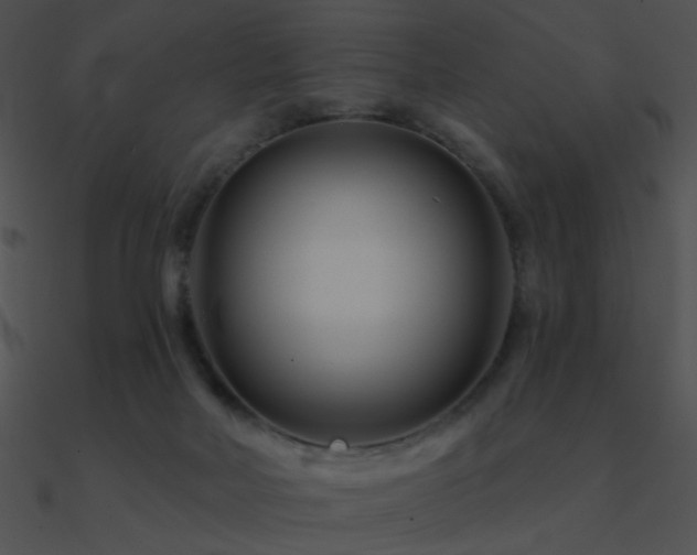 X0000090970026200708021447