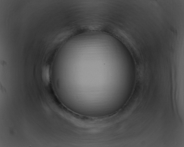 X0000090970028200708021447