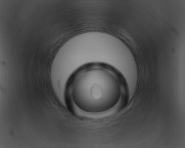 X0000090970029200708021447