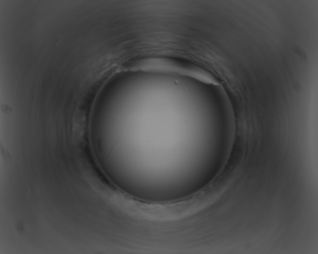 X0000090970030200708021447