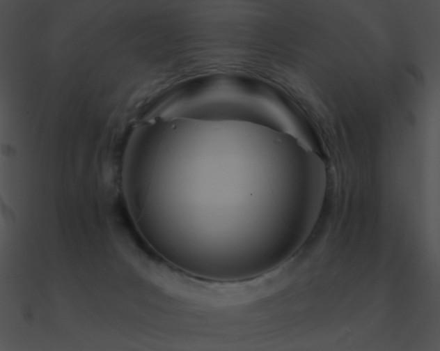 X0000090970031200708021447