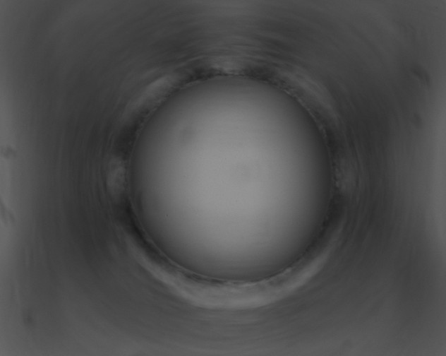 X0000090970036200708021447