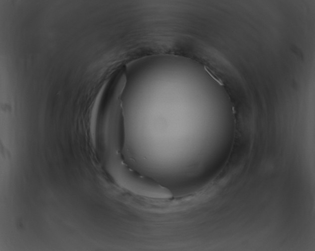 X0000090970037200708021447