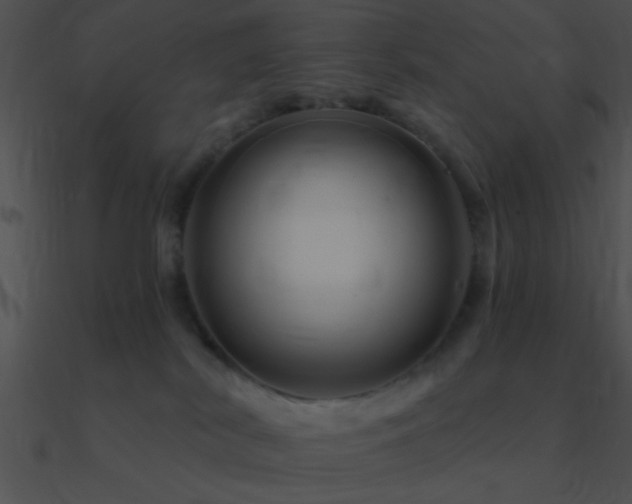 X0000090970038200708021447