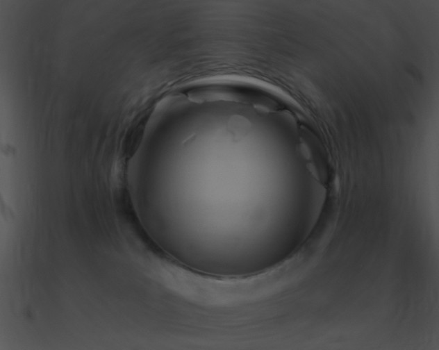 X0000090970039200708021447