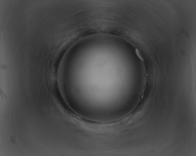 X0000090970040200708021447