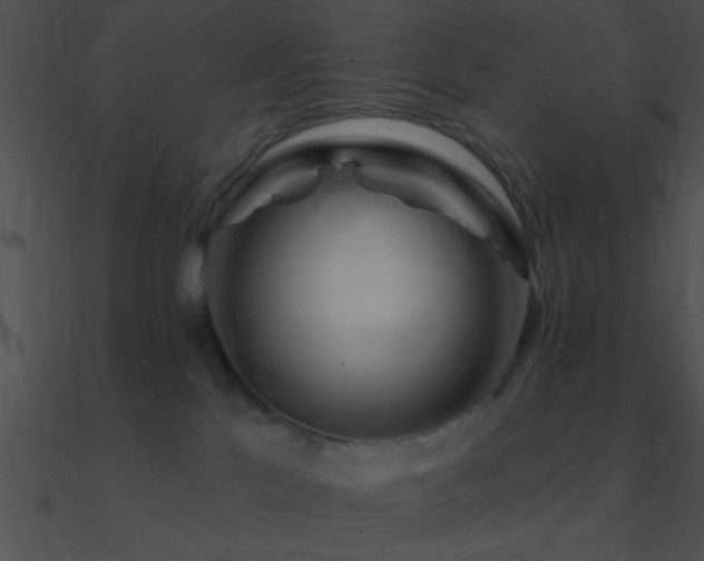 X0000090970041200708021447