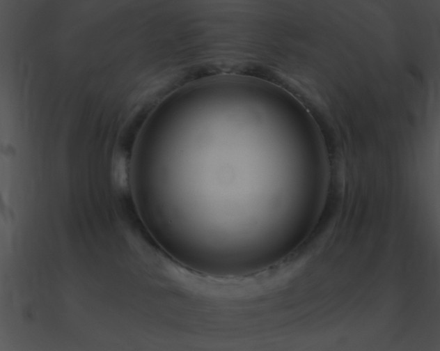 X0000090970042200708021447