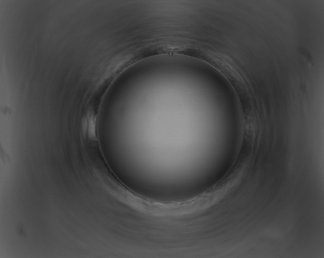 X0000090970046200708021447