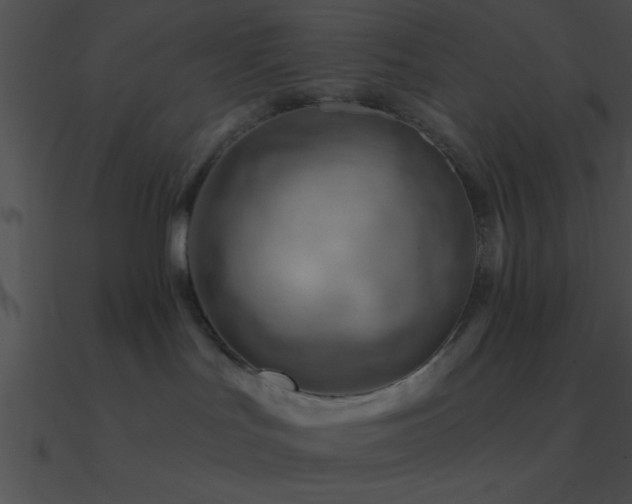 X0000090970047200708021447