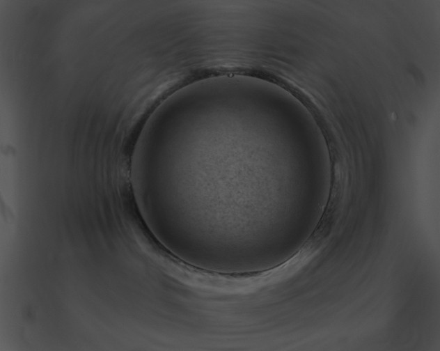 X0000090970048200708021447