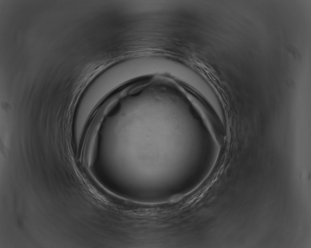 X0000090970049200708021446