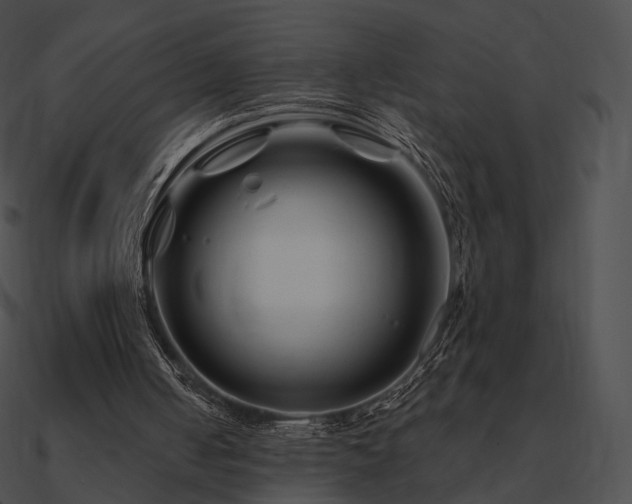 X0000090970050200708021446