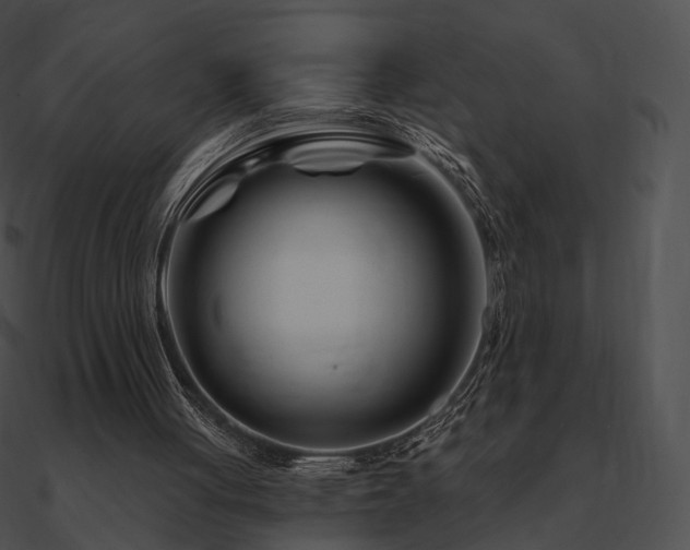 X0000090970051200708021446