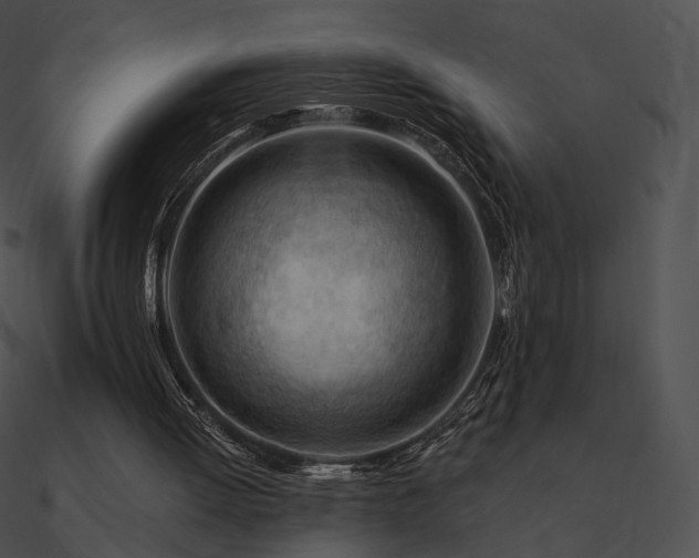 X0000090970052200708021446