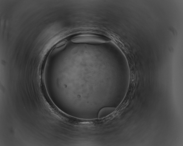 X0000090970053200708021446