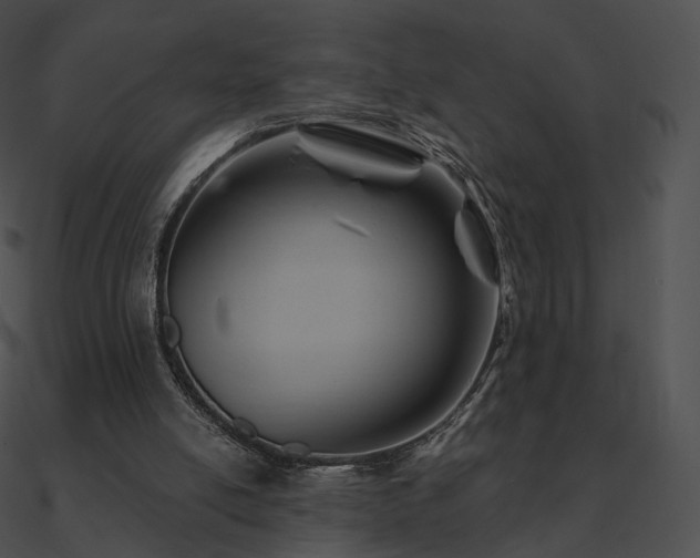 X0000090970054200708021446