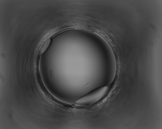 X0000090970055200708021446